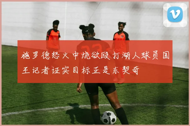施罗德怒火中烧欲殴打湖人球员国王记者证实目标正是东契奇