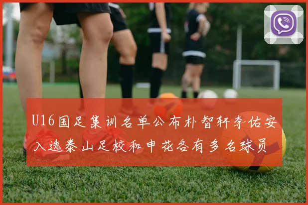 U16国足集训名单公布朴智轩李佑安入选泰山足校和申花各有多名球员参与