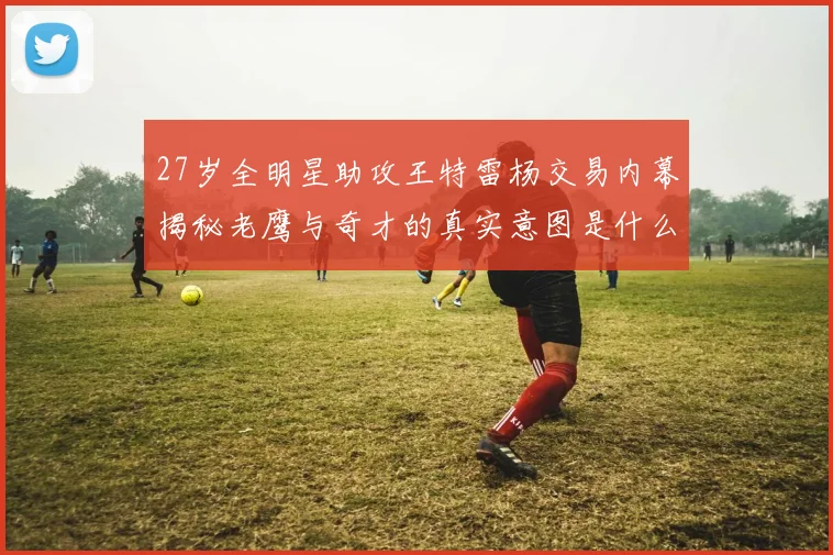 27岁全明星助攻王特雷杨交易内幕揭秘老鹰与奇才的真实意图是什么